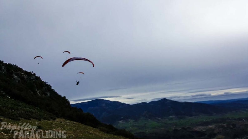 246_FA10.18_Algodonales_Papillon-Paragliding.jpg