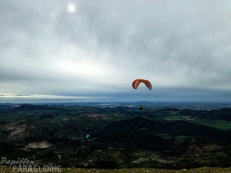 260_FA10.18_Algodonales_Papillon-Paragliding.jpg