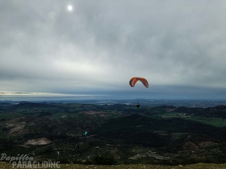 261_FA10.18_Algodonales_Papillon-Paragliding.jpg