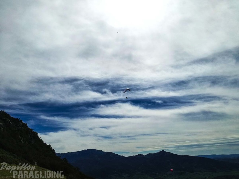 281_FA10.18_Algodonales_Papillon-Paragliding.jpg
