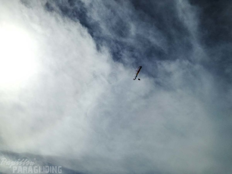 282_FA10.18_Algodonales_Papillon-Paragliding.jpg