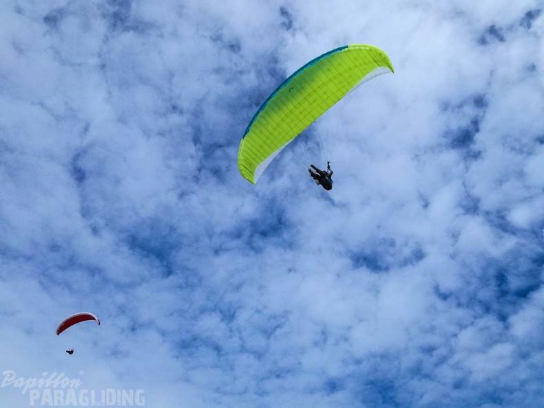 369_FA10.18_Algodonales_Papillon-Paragliding.jpg