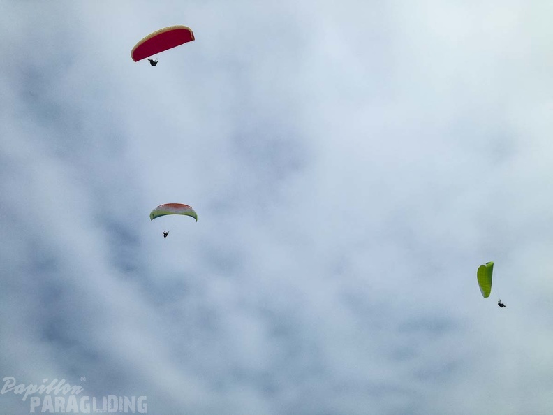 386_FA10.18_Algodonales_Papillon-Paragliding.jpg