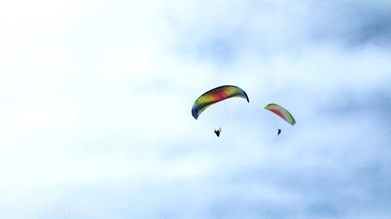 389_FA10.18_Algodonales_Papillon-Paragliding.jpg