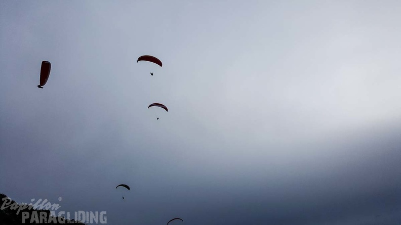 579_FA10.18_Algodonales_Papillon-Paragliding.jpg