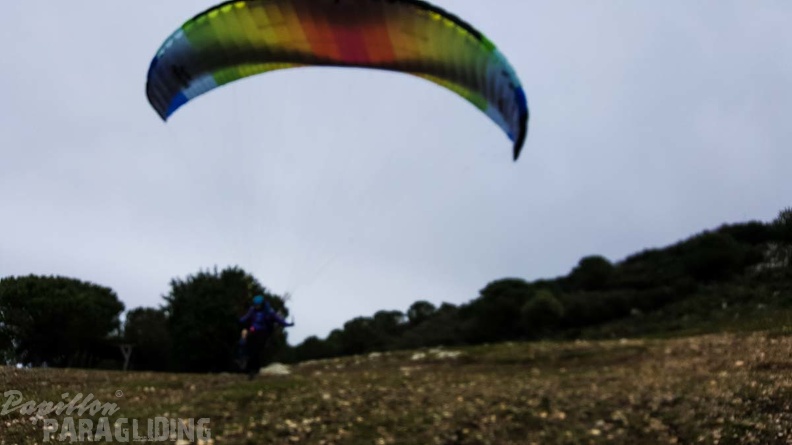 590_FA10.18_Algodonales_Papillon-Paragliding.jpg