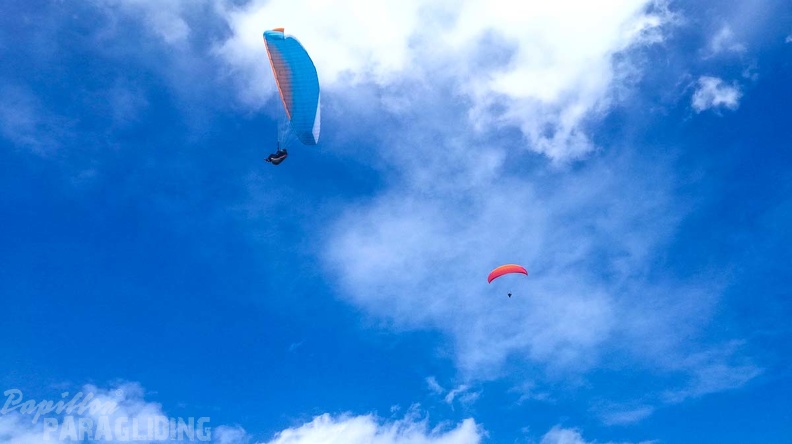 461_Papillon_Paragliding_Algodonales-FA11.18_49_461_461.jpg