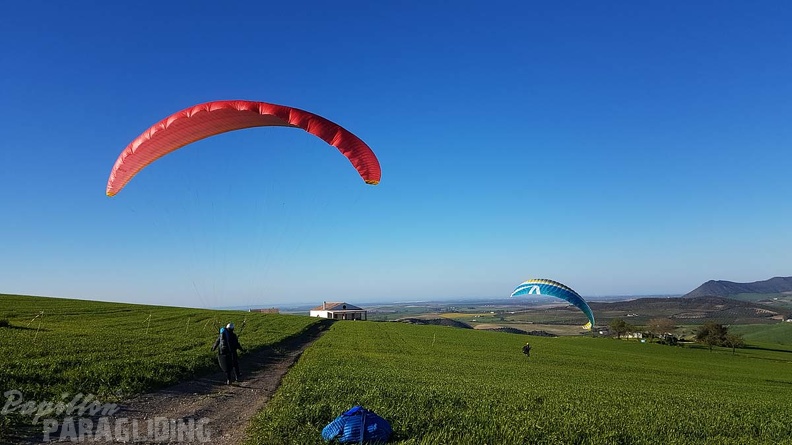 FA13.18 Algodonales-Paragliding-244
