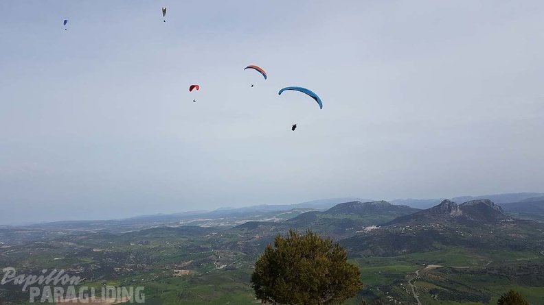 FA14.18 Algodonales-Paragliding-284