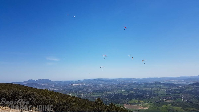 FA16.18 Paragliding-Algodonales-177