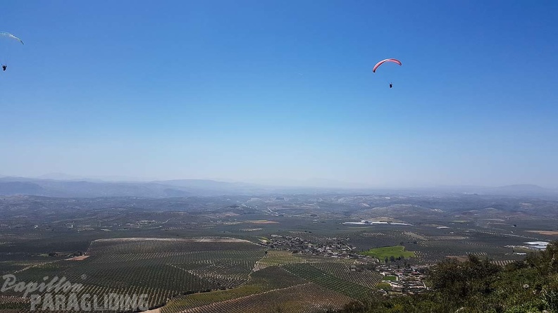 FA16.18 Paragliding-Algodonales-302