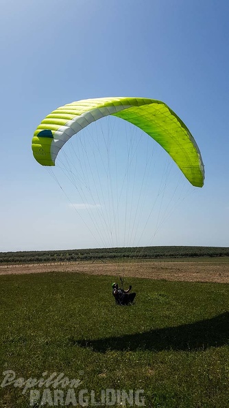 FA16.18 Paragliding-Algodonales-329
