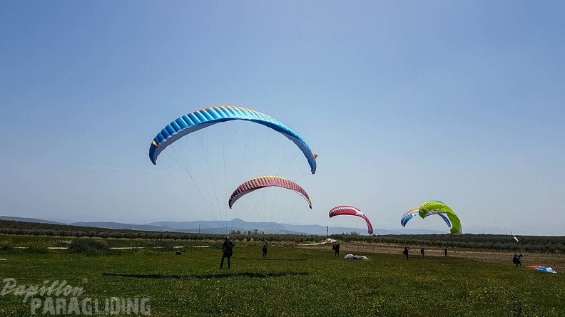 FA16.18 Paragliding-Algodonales-332