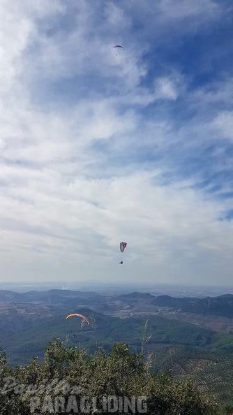 FA43.18 Algodonales-Paragliding-257