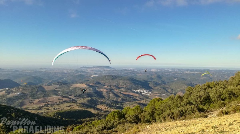 FA44.18 Algodonales-Paragliding-310