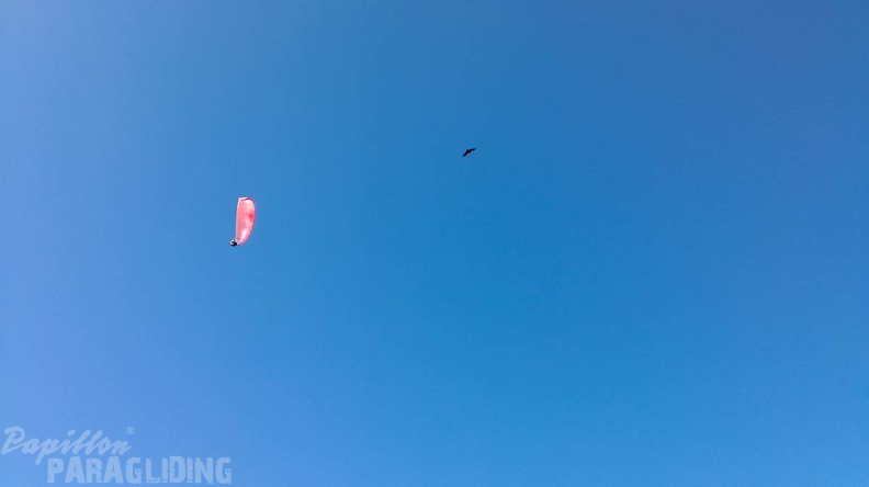 FA45.18 Algodonales-Paragliding-175