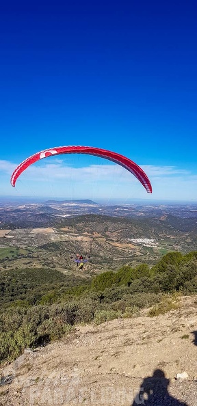 FA1.19_Algodonales-Paragliding-1312.jpg