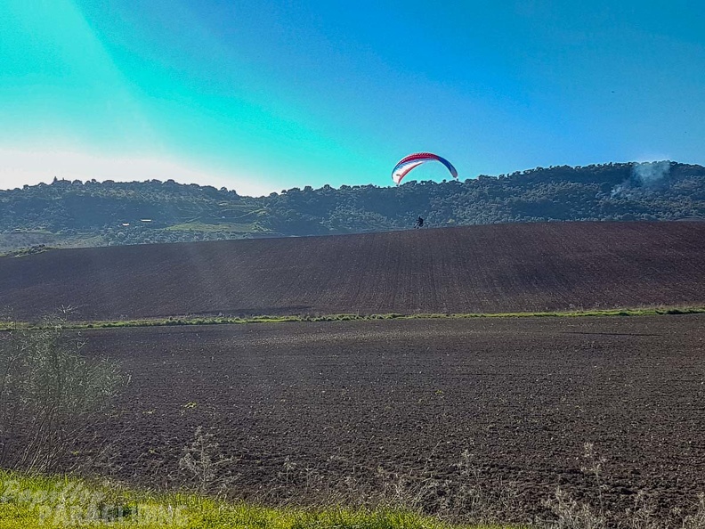 FA1.19 Algodonales-Paragliding-1553