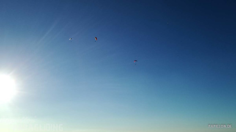 FA11.19 Algodonales-Paragliding-470