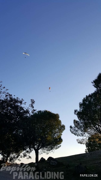 FA11.19 Algodonales-Paragliding-537