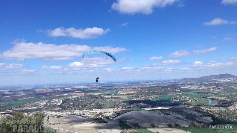 FA11.19 Algodonales-Paragliding-583