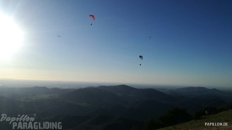 FA11.19 Algodonales-Paragliding-953