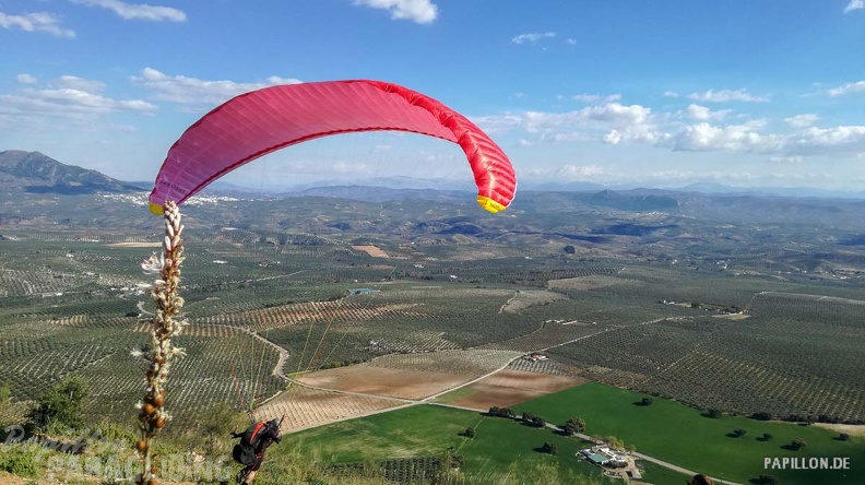 FA12.19 Algodonales-Paragliding-280