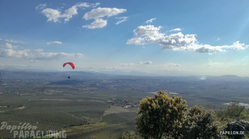 FA12.19 Algodonales-Paragliding-288