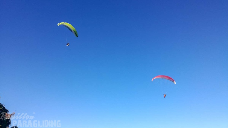 FA2.19 Algodonales-Paragliding-1386