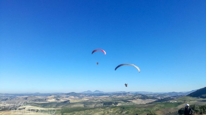 FA2.19 Algodonales-Paragliding-1390