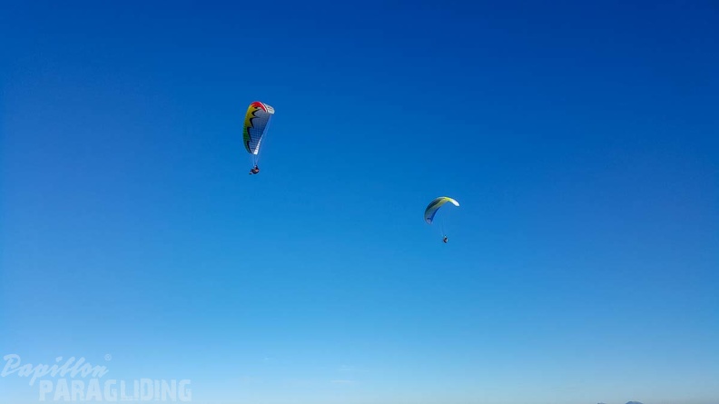FA2.19 Algodonales-Paragliding-1426