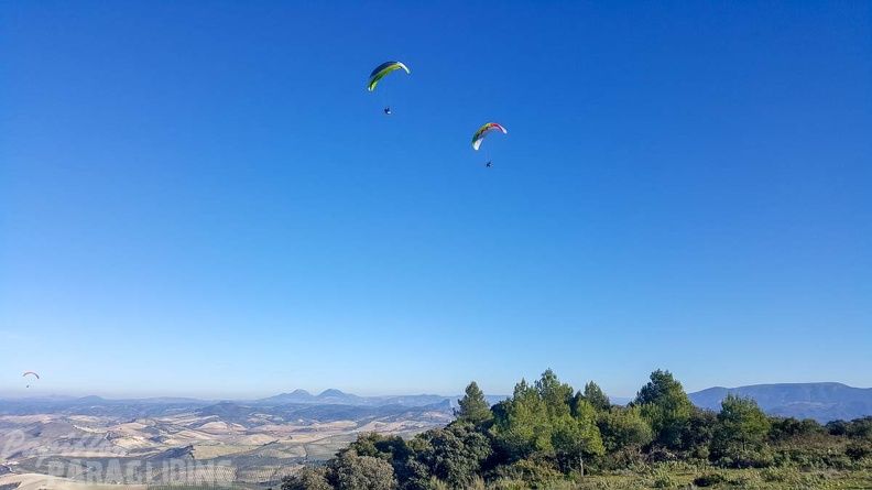 FA2.19 Algodonales-Paragliding-1431