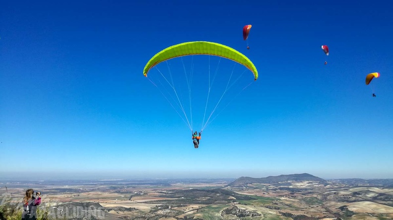 FA2.19 Algodonales-Paragliding-1472