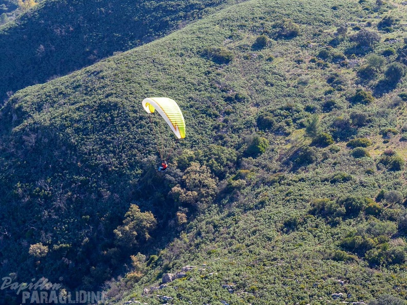 FA2.19 Algodonales-Paragliding-1491