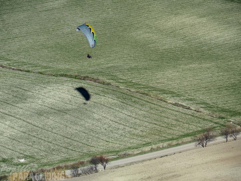 FA2.19 Algodonales-Paragliding-1556