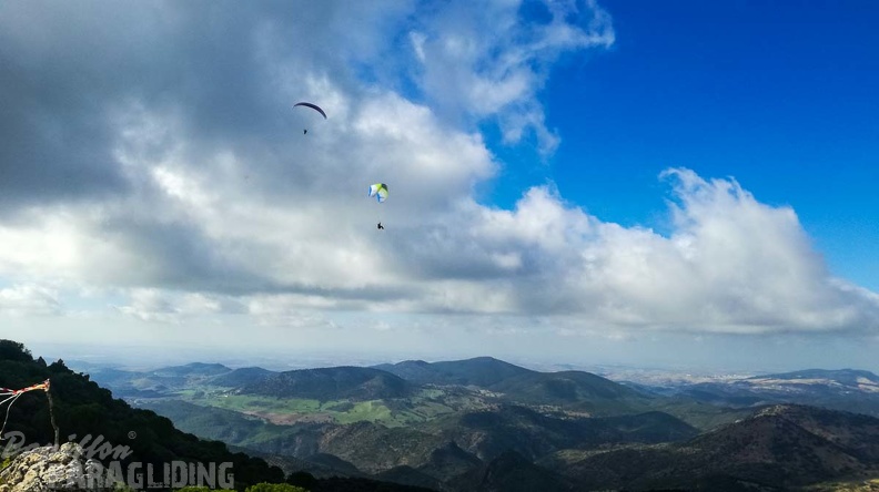 FA46.19 Algodonales-Paragliding-118