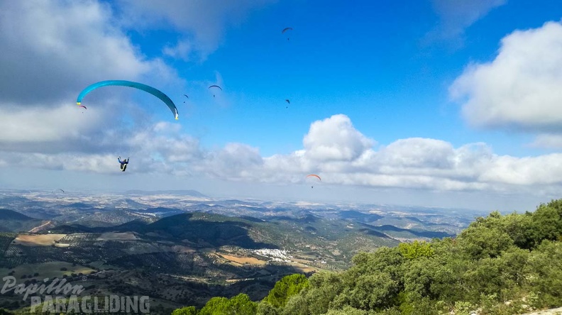 FA46.19 Algodonales-Paragliding-121