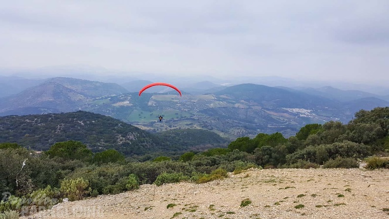 FA1.20 Algodonales-Paragliding-541