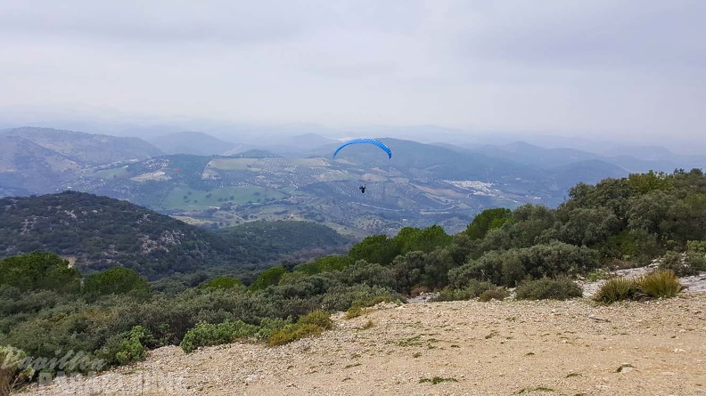 FA1.20 Algodonales-Paragliding-542
