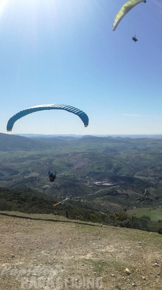 FA11.20 Algodonales-Paragliding-121