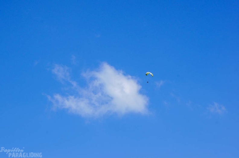 Annecy Papillon-Paragliding-228