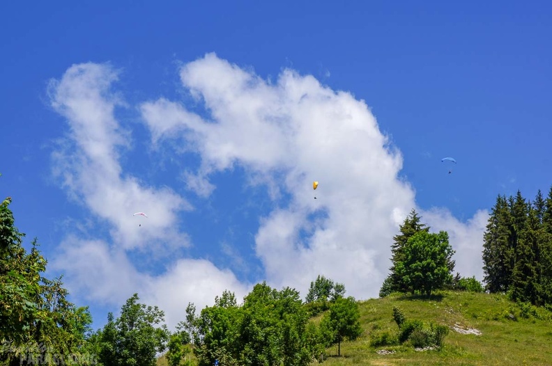 Annecy Papillon-Paragliding-321