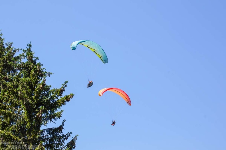 Annecy Papillon-Paragliding-440