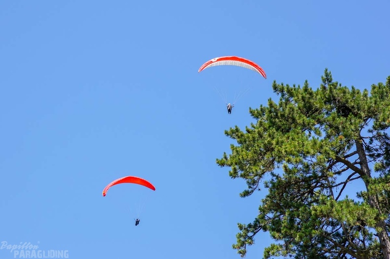 Annecy Papillon-Paragliding-464