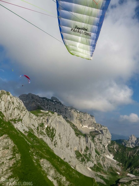 Annecy Papillon-Paragliding-531