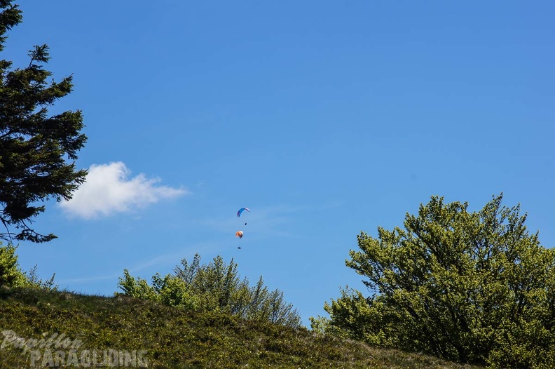 FE21.17_Vogesen-Paragliding-107.jpg