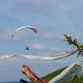 FE21.17 Vogesen-Paragliding-313