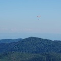 FE21.17 Vogesen-Paragliding-352