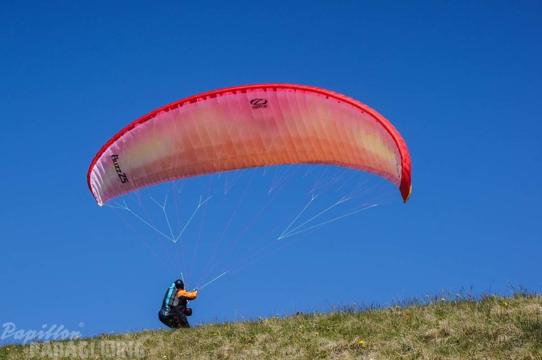 FE21.17_Vogesen-Paragliding-428.jpg