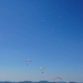 FE21.17 Vogesen-Paragliding-468